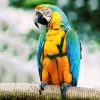 HOKABLE Bird Harness Soft Satin Anti Bite Training Leash-5