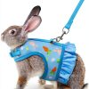 YOUALSO Rabbit Harness Soft Mesh Cute Carrot Design-0