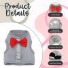 AIITLE Bunny Harness Soft Mesh Leash Set for Small Pets-3