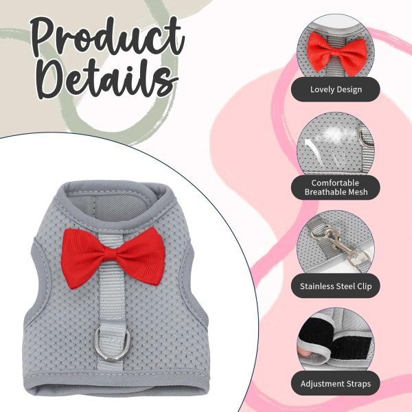 AIITLE Bunny Harness Soft Mesh Leash Set for Small Pets-3
