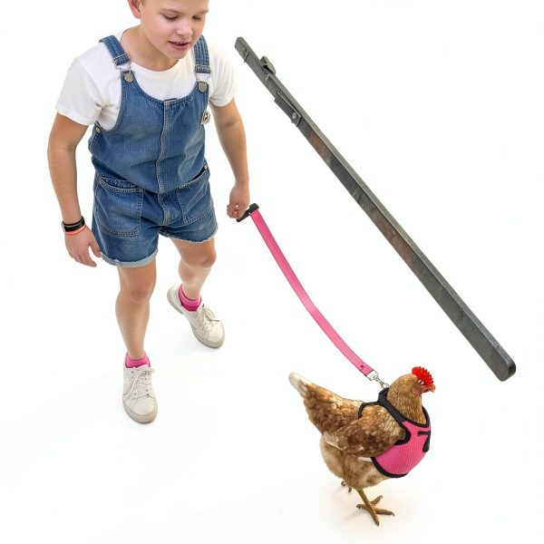 Adhafera Chicken Harness Adjustable Breathable Pet Walking-5
