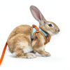 SQUSIMEI Pet Harness Soft Reflective Small Animal Strap-5