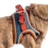 SQUSIMEI Pet Harness Soft Reflective Small Animal Strap-3