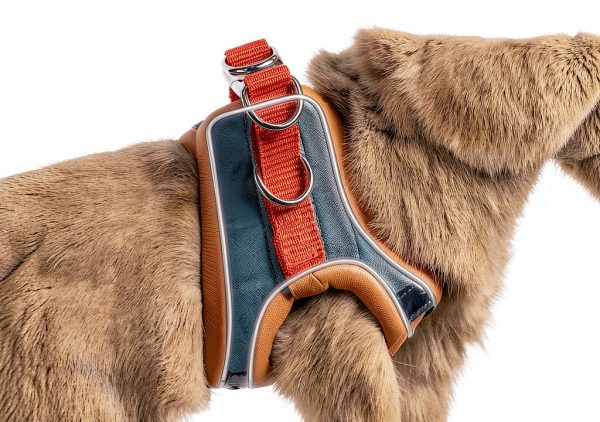 SQUSIMEI Pet Harness Soft Reflective Small Animal Strap-3