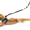 POLKASTORE Reptile Leash Adjustable Harness Soft Leather-6