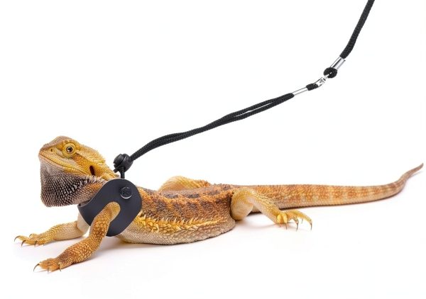 POLKASTORE Reptile Leash Adjustable Harness Soft Leather-6