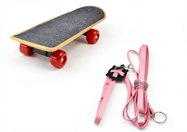 Tortoise Harness Skateboard LIhang Pet Adventure Toy-1