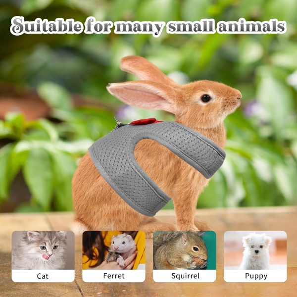 AIITLE Bunny Harness Soft Mesh Leash Set for Small Pets-1
