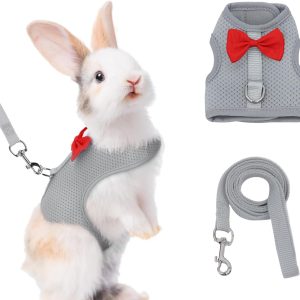 AIITLE Bunny Harness Soft Mesh Leash Set for Small Pets-0