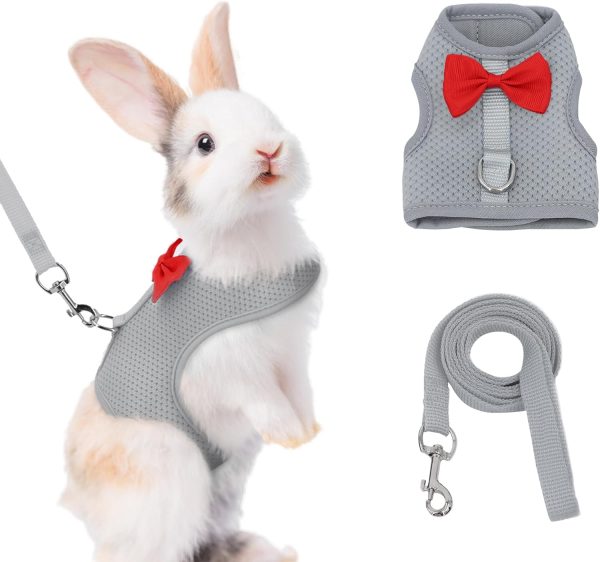 AIITLE Bunny Harness Soft Mesh Leash Set for Small Pets-0