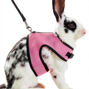 Niteangel Rabbit Harness Adjustable Mesh Leash for Rabbits-0