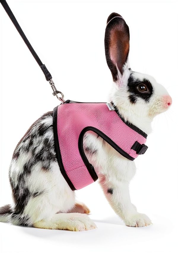 Niteangel Rabbit Harness Adjustable Mesh Leash for Rabbits-0