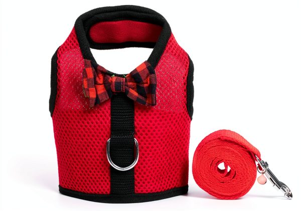 Rypet Small Animal Harness Breathable Mesh Pet Walking-1