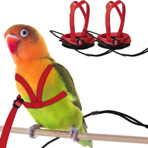 HOKABLE Bird Harness Soft Satin Material Training Leash-0