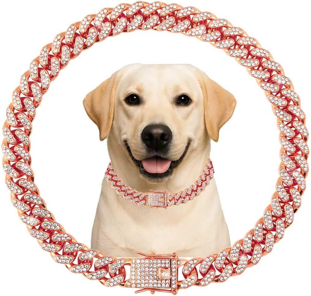 Khendyogn dog chain collar in gold color on a small dog