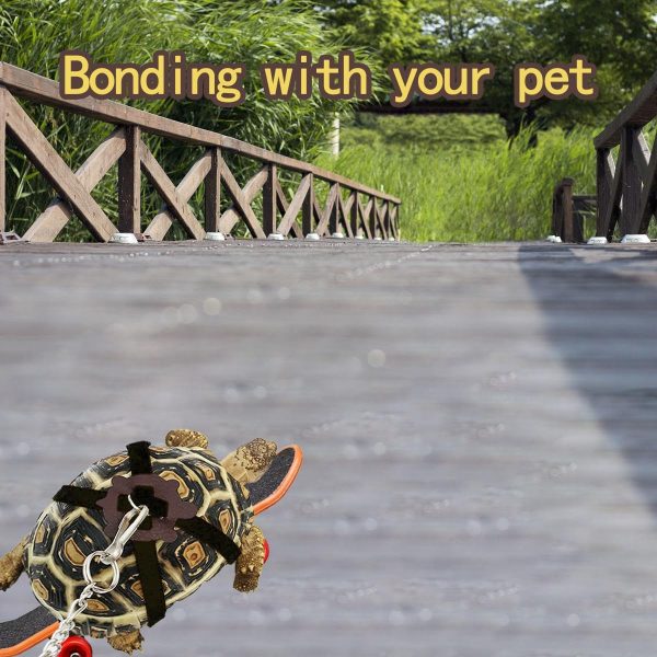 Turtle Harness Skateboard LIhang Pet Adventure Toy-4