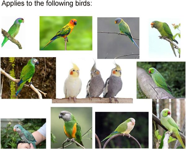 VANTRONIK Bird Harness Leash for Small Parrots Outdoor-3