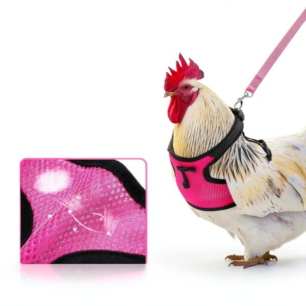 Adhafera Chicken Harness Adjustable Breathable Pet Walking-3