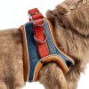 SQUSIMEI Pet Harness Soft Reflective Small Animal Strap-3