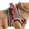 SQUSIMEI Pet Harness Soft Reflective Small Animal Strap-3