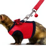 Rypet Small Animal Harness Breathable Mesh Pet Walking-0