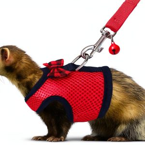 Rypet Small Animal Harness Breathable Mesh Pet Walking-0
