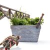 Tortoise Harness Skateboard LIhang Pet Adventure Toy-4