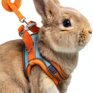 SQUSIMEI Pet Harness Soft Reflective Small Animal Strap-0