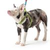 YeeBeny Mini Pig Harness Adjustable Nylon Pet Walking Gear-8