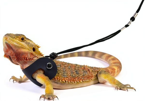 POLKASTORE Reptile Leash Adjustable Harness Soft Leather-5