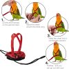 HOKABLE Bird Harness Soft Satin Material Training Leash-3