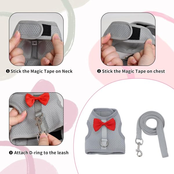 AIITLE Bunny Harness Soft Mesh Leash Set for Small Pets-5