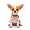 Rypet Small Animal Harness Breathable Mesh Pet Walking-5