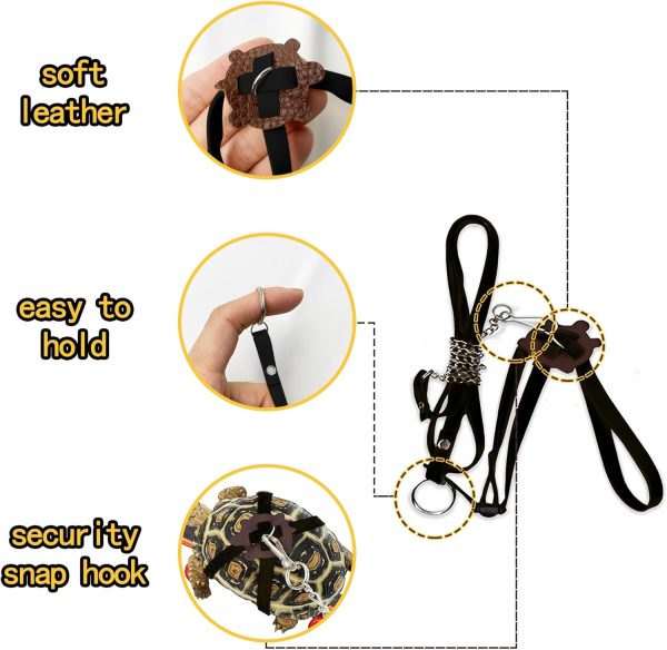 Turtle Harness Skateboard LIhang Pet Adventure Toy-2