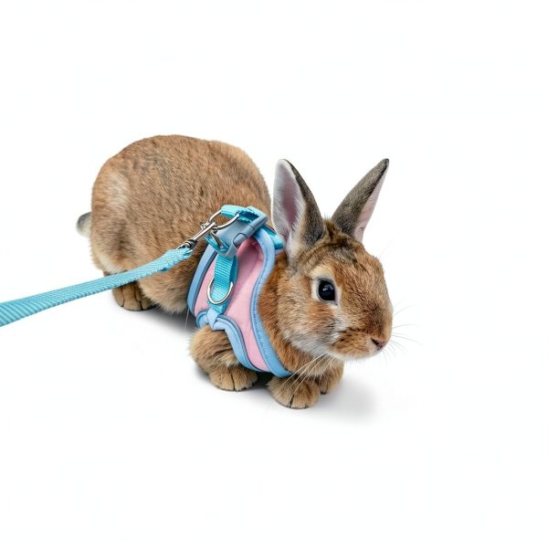 SQUSIMEI Pet Harness Soft Reflective Small Animal Strap-5