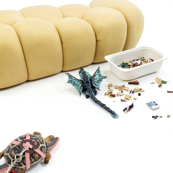 Tortoise Harness Skateboard LIhang Pet Adventure Toy-3