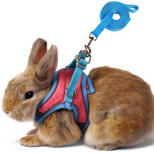 SQUSIMEI Pet Harness Soft Reflective Small Animal Strap-0