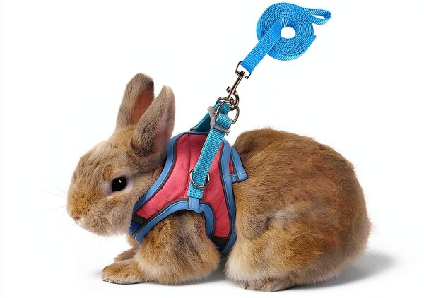 SQUSIMEI Pet Harness Soft Reflective Small Animal Strap-0