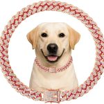 Khendyogn Dog Chain Collar Zinc Alloy Diamond Decoration-0