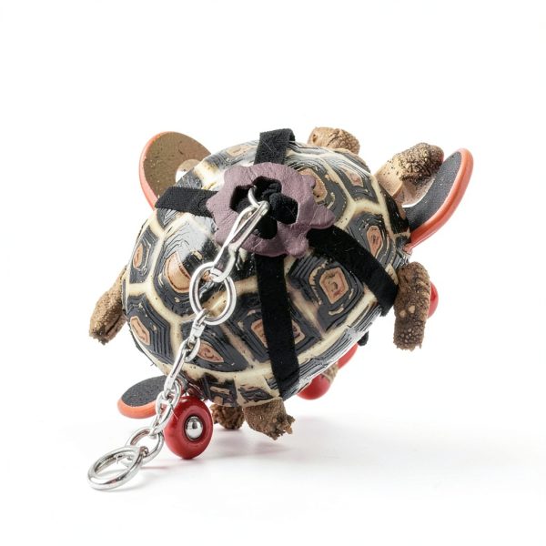 LIHang Turtle Harness Skateboard Pet Adventure Toy Yellow-4