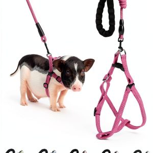 YeeBeny Mini Pig Harness Adjustable Nylon Pet Walking Gear-0