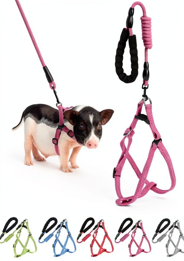 YeeBeny Mini Pig Harness Adjustable Nylon Pet Walking Gear-0