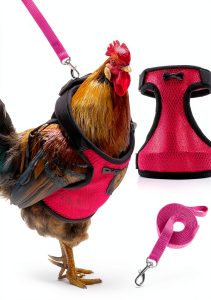 Adhafera Chicken Harness Adjustable Breathable Pet Walking-0