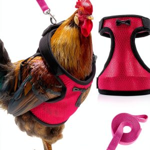 Adhafera Chicken Harness Adjustable Breathable Pet Walking-0