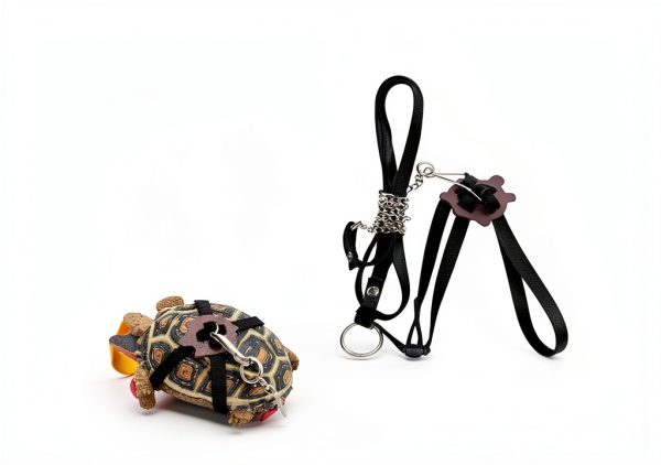 LIHang Turtle Harness Skateboard Pet Adventure Toy Yellow-2