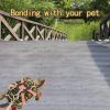 Lihang Turtle Harness Skateboard Pet Adventure Toy Yellow-4
