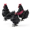 Adhafera Chicken Harness Adjustable Breathable Pet Walking-1