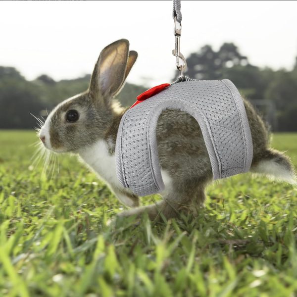 AIITLE Bunny Harness Soft Mesh Leash Set for Small Pets-4
