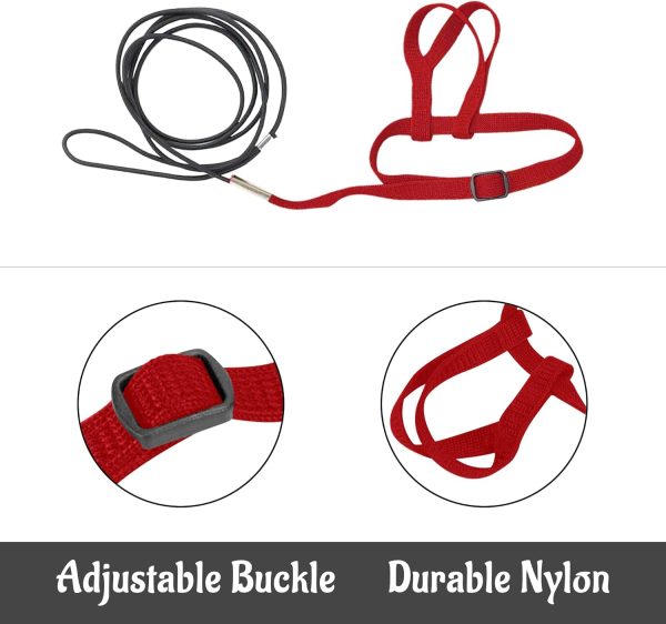 HOKABLE Bird Harness Soft Satin Material Training Leash-2