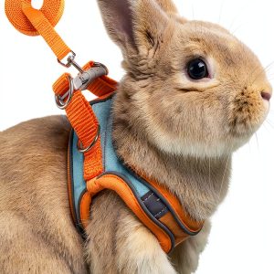 SQUSIMEI Pet Harness Soft Reflective Small Animal Strap-0